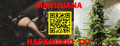 мдпв Новозыбков