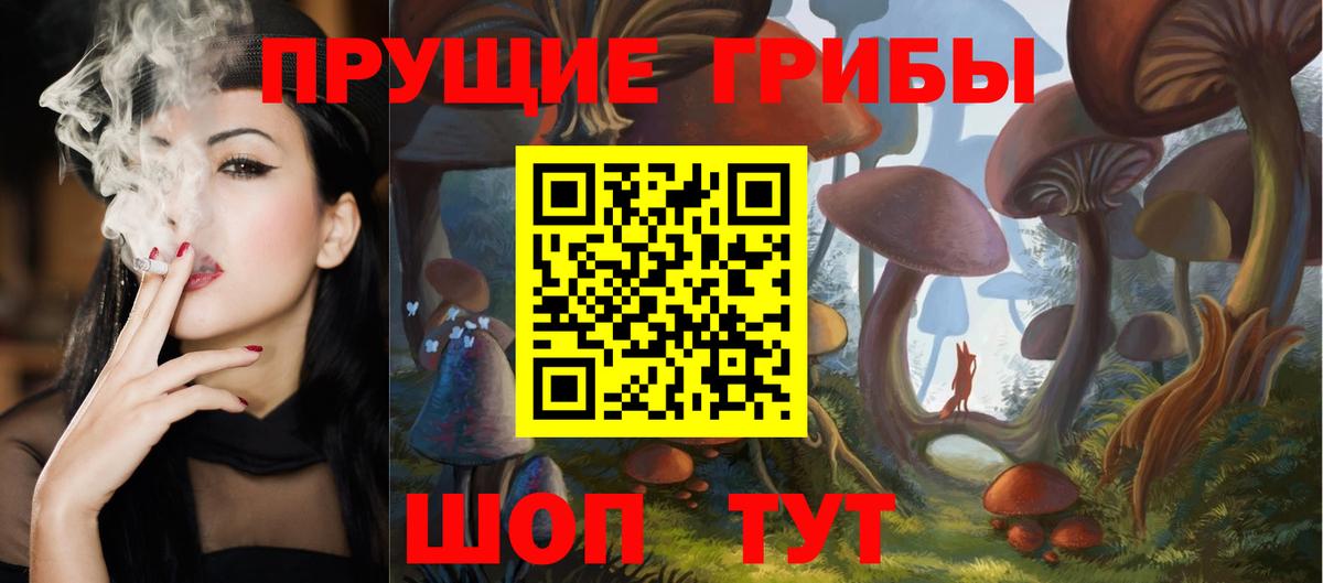 Псилоцибиновые грибы GOLDEN TEACHER  Вход с VPN  купить   Псилоцибиновые грибы MAGIC MUSHROOMS  Алушта 