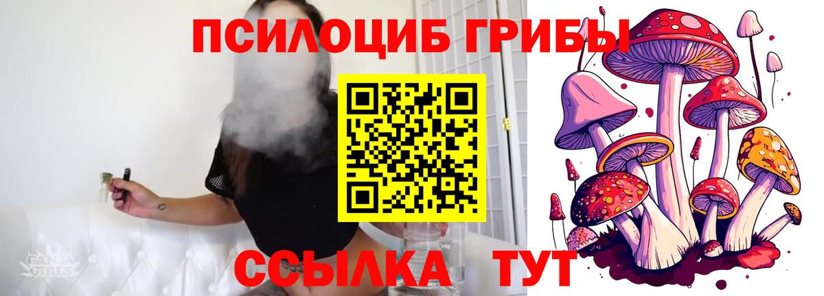 Псилоцибиновые грибы мухоморы Алушта